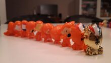 Dutch Team