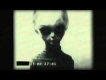 Skinny Bob