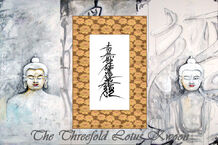TLK face header
