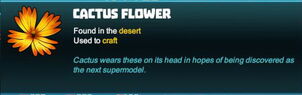 Creativerse cactus flower 2018-04-15 16-07-15-41 tooltip flower