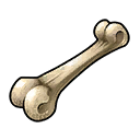 Bone 128