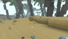 Creativerse Shore3770