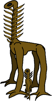 Liriph & Handler