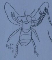 Botfly Concept