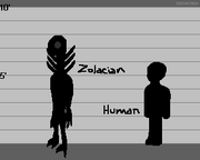Zolacian Lineup