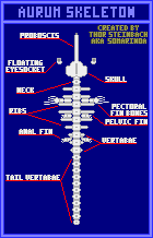 Squillix Skeletal Structure