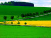 Gihor county