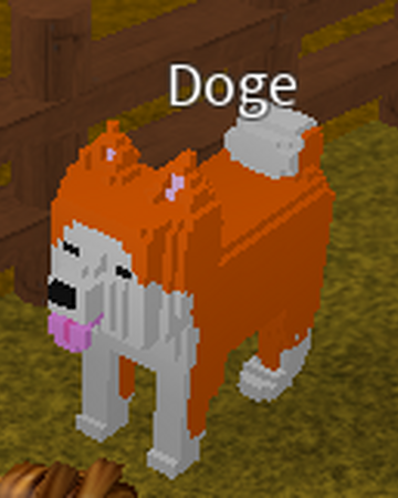 Doge Creatures Tycoon Wiki Fandom