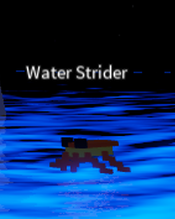 Water Strider Creatures Tycoon Wiki Fandom