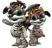 Zebras