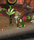 Bunnynorn
