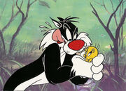 127-SylvesterCat