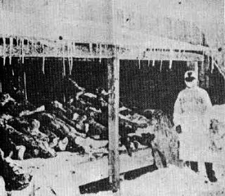 Unit7311