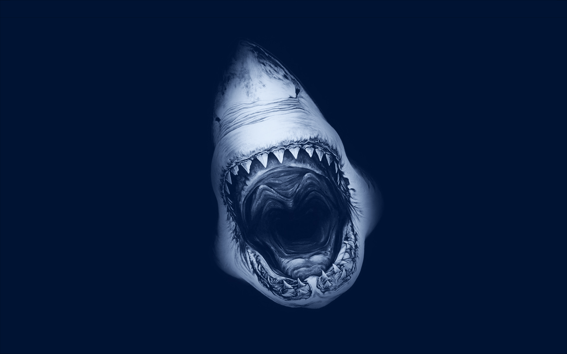 Shark Bay | Creepypasta Wiki | FANDOM powered by Wikia