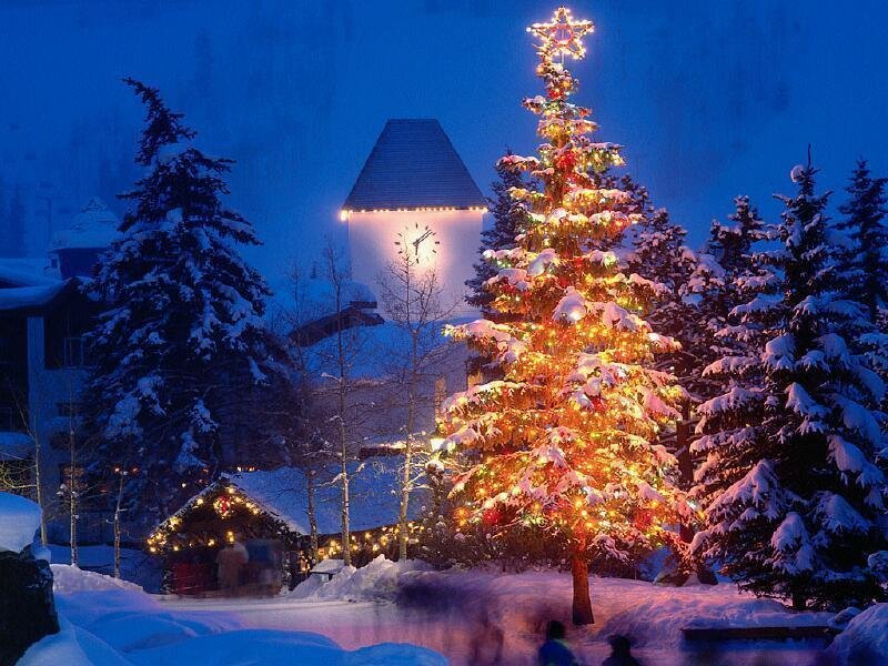 the christmas tree creepypasta wiki fandom powered by wikia christmas tree