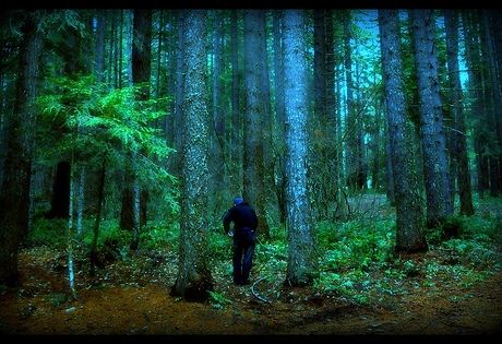 abandoned servers creepypasta wiki