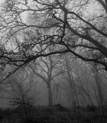 Untitled-1548767719