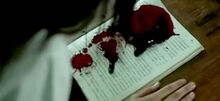 Libro sangre