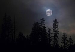 Esa luna mía