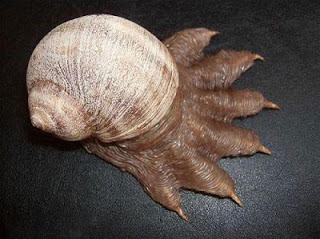 SCP-075