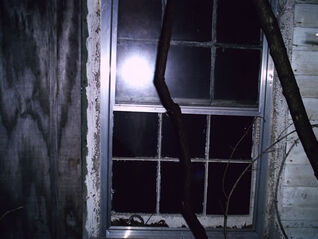 FaceInWindow