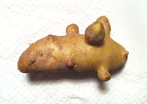 Patatas-1