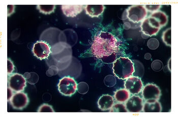 Virus