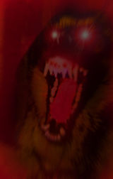 160px-Funnydog-1-