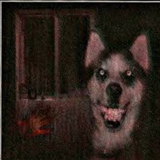 Smile Dog Creepypasta Historia