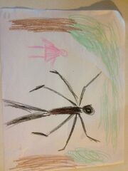 Cheyenne's drawing