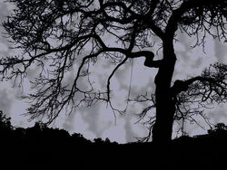CreepyTree