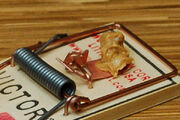 Mouse-trap-with-peanut-butter
