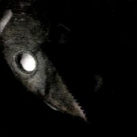 Sleep Paralysis The Plague Doctor Creepypasta Wiki Fandom