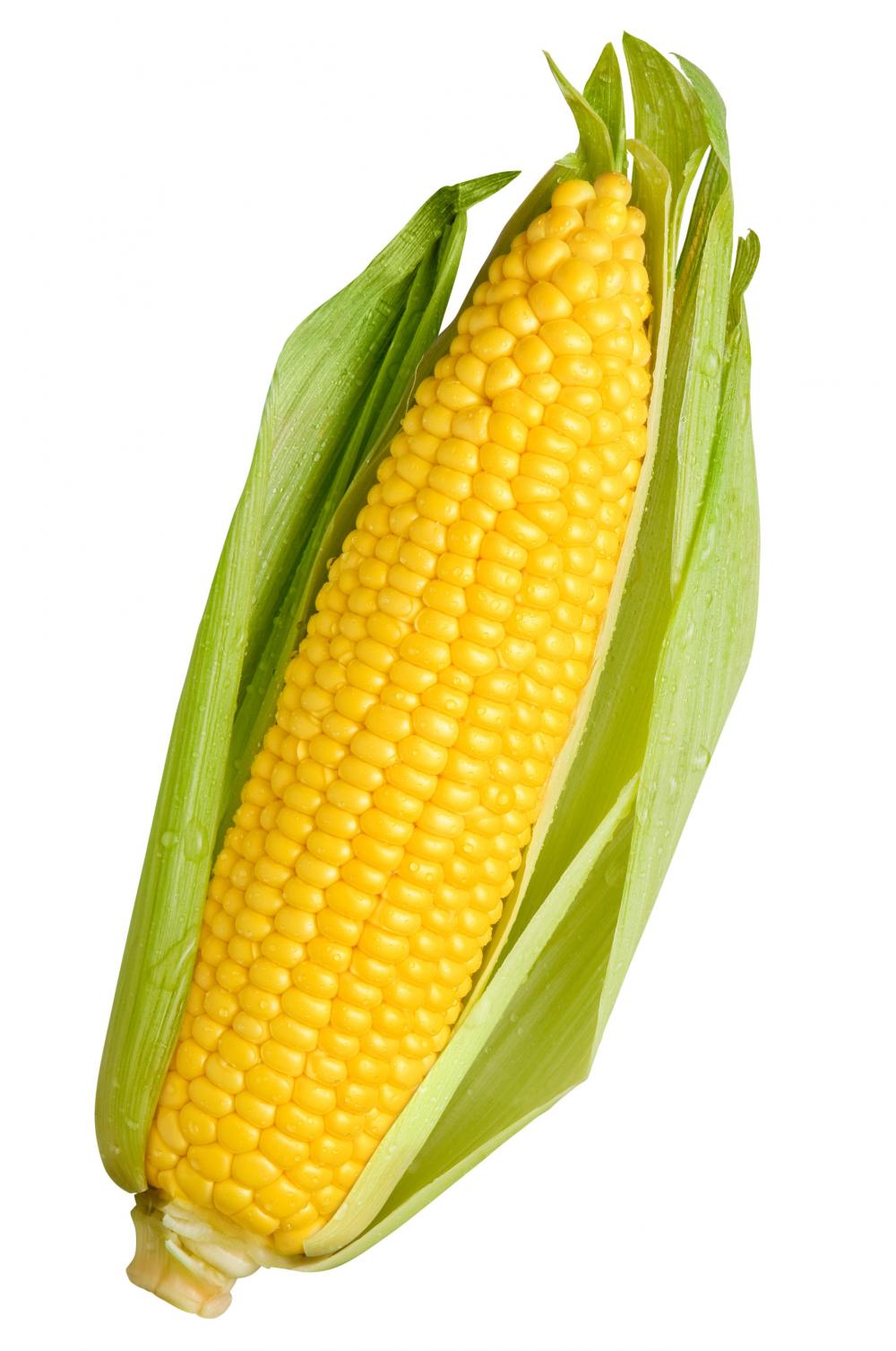 image corn jpg creepypasta