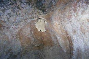 A cave with a glove sticking out of a hole.