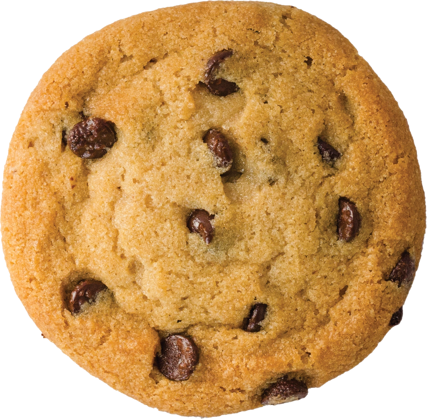 Image result for cookie