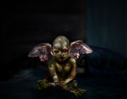 Killahawke cherub