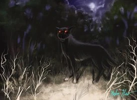 Resultado de imagen para el cadejo negro