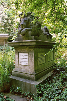 Leonvigilante