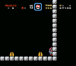 MARIO 00020