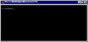 Windem95 Screen Capture