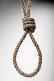 Image result for noose