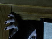 Categorie Texte Scurte Creepypasta Wiki Fandom