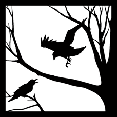 Crow-1-