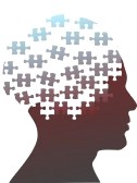 Brain Puzzle