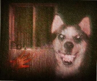 Smile Dog Creepypasta Historia