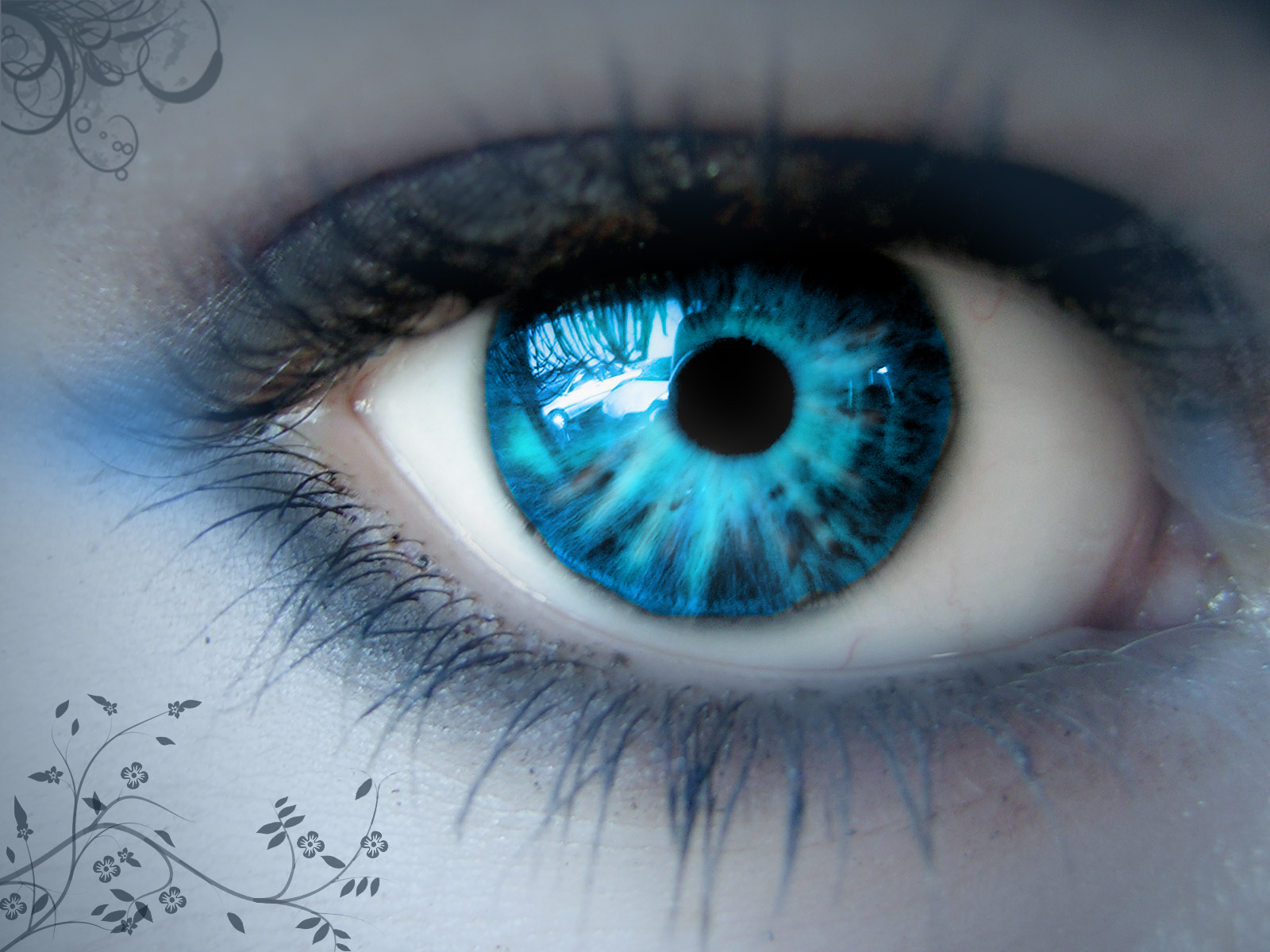 the blue eye creepypasta wiki fandom powered by wikia