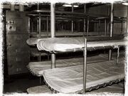 Bunks