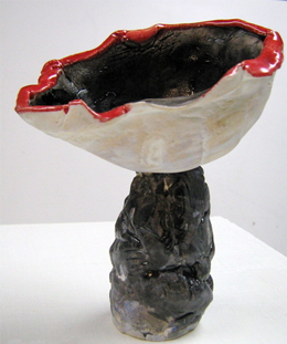 Turtleshell