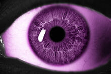 Enderman eye by cooljim15-d6m1n8h